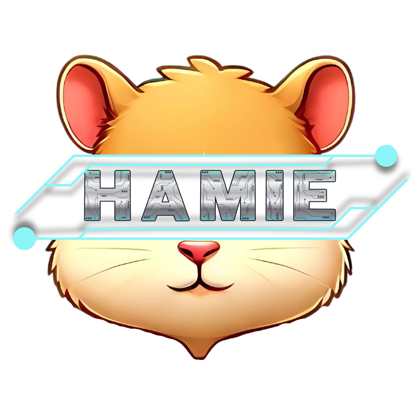 Hamieverse Merch Store 